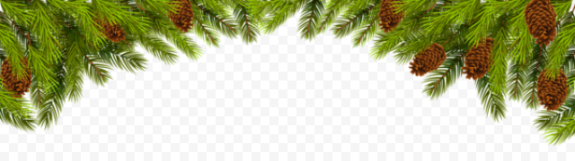 Christmas Branches PNG Clipart