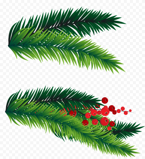 Christmas Branches PNG File
