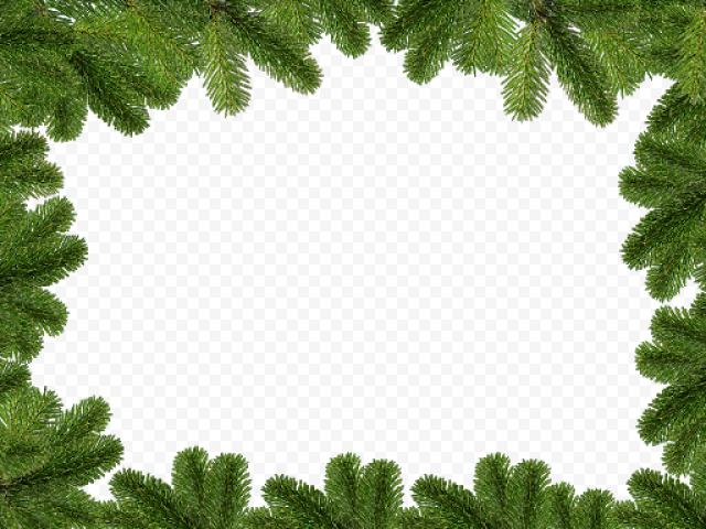 Christmas Branches PNG Picture