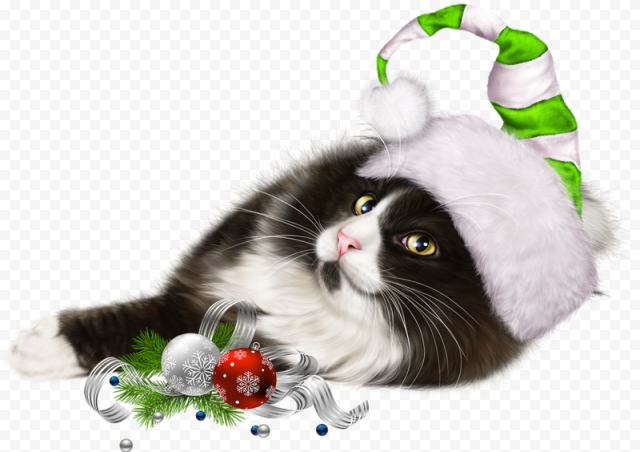 Christmas Kitten PNG File