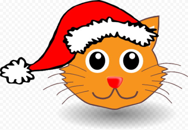 Cat Christmas PNG Transparent