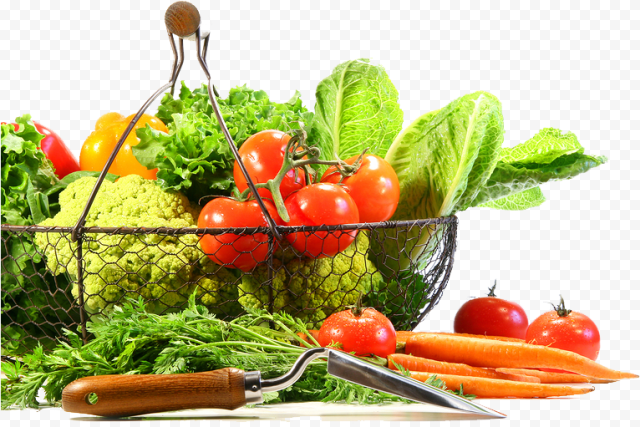 Fruits And Vegetables PNG Transparent Image