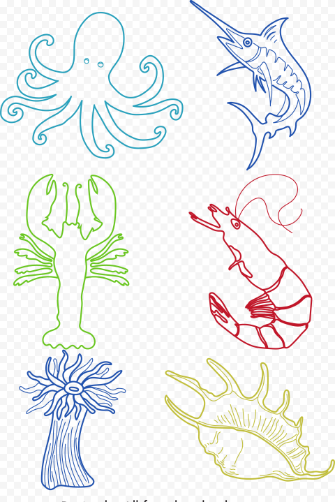 Sea creatures icons colored handdrawn outline