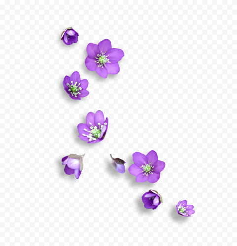 Purple flowers, Flower Icon, Small floral, purple, floating, gemstone