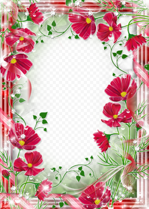 beautiful flowers photo frames PNG image with transparent background