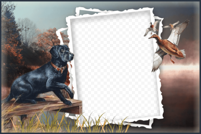 father's day frames PNG image with transparent background