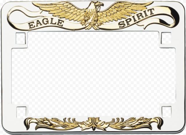 eagle frames PNG image
